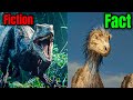 1 Hour of Dinosaur Lies YOU STILL Believe