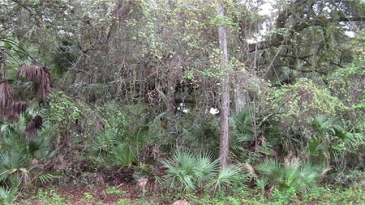 18197 CHARTER AVENUE, PORT CHARLOTTE, FL Presented...