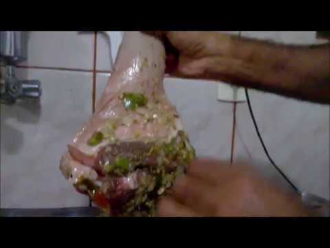 Nao Coma Capivara Antes De Ver Esse Video Youtube