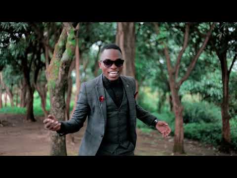 Video: Kundi kubwa la pomboo