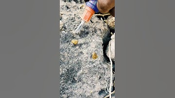 Exploring the Beauty of Little Raw Topaz Gems #gem #diamond #crystal