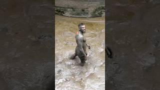 Well That Looked Like It Hurt Via Teamphat