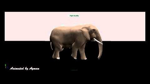Elephant Walk  3d animation