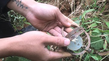 Đi Rừng | Cách Đặt Bẫy Chồn , Bẫy Chuột Cống Nhum Bằng Cạm Kiềng