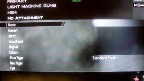 modern warefare2 every camo for every gun plus attachment