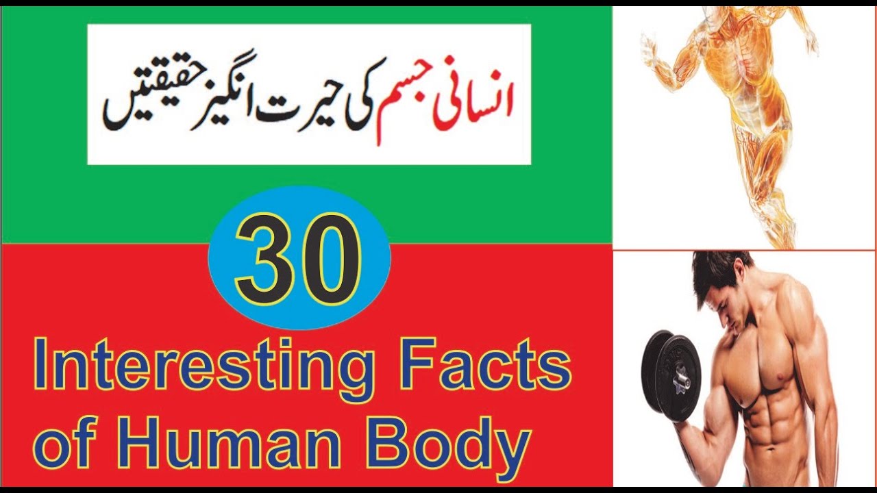 30 Amazing Facts About the Human Body - YouTube