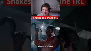 Snakes On A Plane Irl