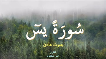 سورة يوسف تلاوة تفوق الجمال للقارئ انس محمود