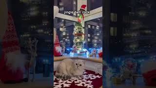 Jingle Bells Kiki