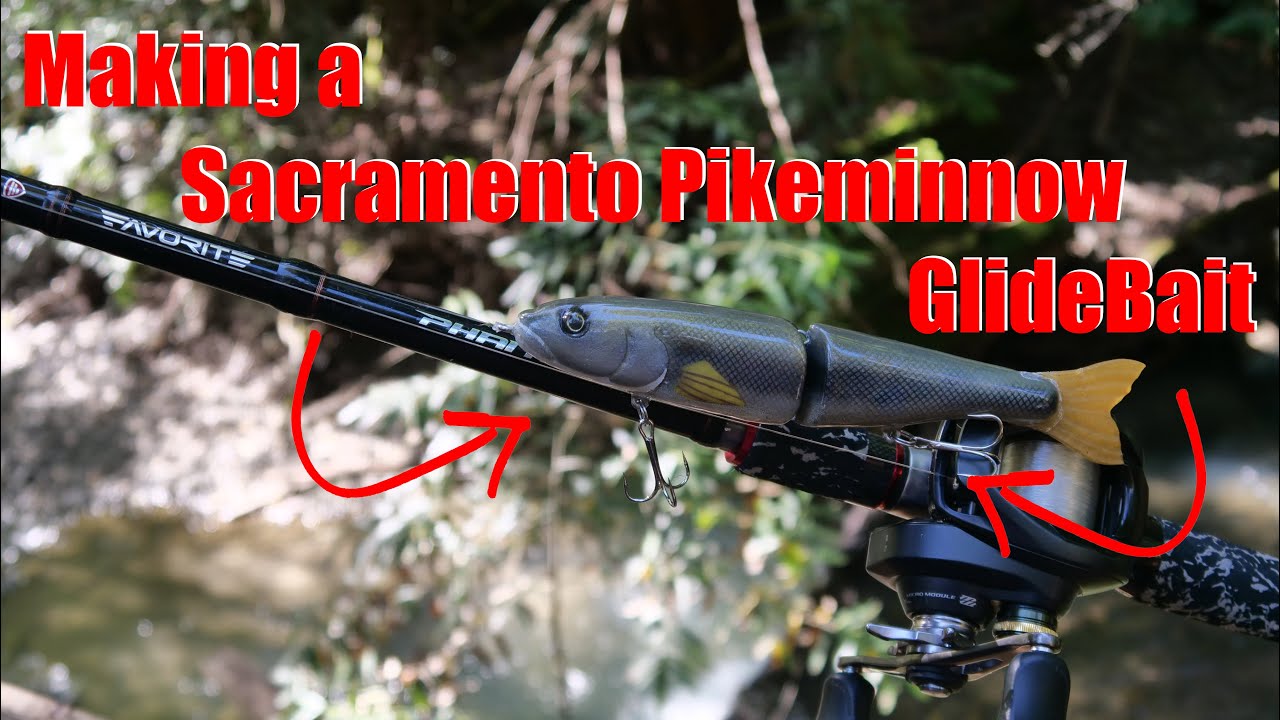Pikeminnow Rigs I Made a Sacramento Pikeminnow GlideBait! (Russian River Natives ep.4 ...