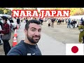 EXPLORING NARA JAPAN 2022 Livestream