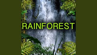 Rainforest Animal Sounds (Jungle Animals) screenshot 1