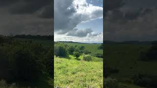 Ulyanovsk Village Forest Meadow Home Vibes