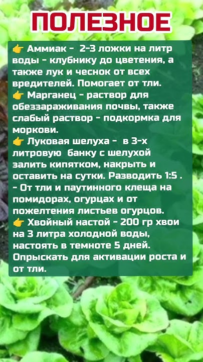 Полезное в саду и огороде #дача #огород #shortvideo #реки # ...