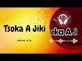 Sabuwar Waka Tsoka A Jiki Official Music 2026 Lyrics By Aminu ATA Ft Shamsiyya Sadi