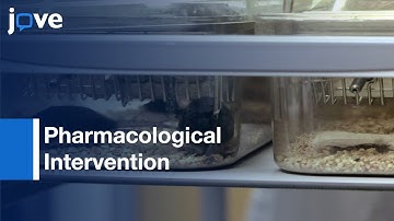 Pharmacological Intervention: Anesthetic Sensitivity | Protocol Preview