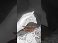 اكسبلور  لايك اشتراك 1 علئ صفحه المحتويات الرائجه