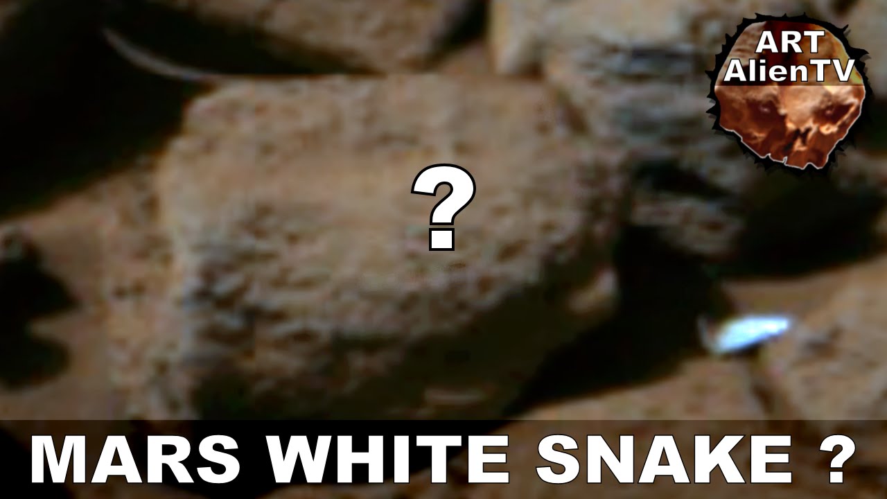 rovera MARS WHITE SNAKE ? Reptile Slides Between Rocks ? ArtAlienTV (R)
