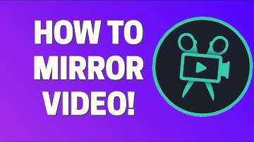 How To Mirror Video In Movavi Video Editor Plus