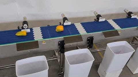 6-Channels Sorting System