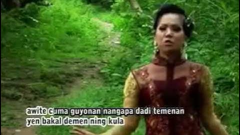 GECOK PARE duni a @ lagu tarling