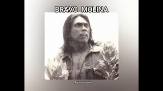 BRAVO  MOLINA - MI  GUITARRA  Y  MI  GARGANTA  (LETRA)