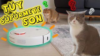 KEDİ TÜYÜ TEMİZLEMEYE SON (Xiaomi Robot Süpürge 1S)