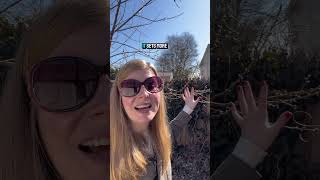 How To Prevent Peach Drop