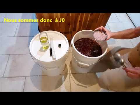 Vidéo: Comment Faire Du Vin Maison à Partir De Raisins : Expérience Personnelle