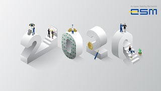 ESM Annual Report 2020