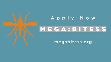 MEGA:BITESS 2020 Cohort Recruiting