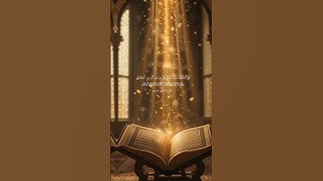 تلاوة تريح القلب #coran #قرآن #قران_كريم #تلاوة_خاشعة #اليمن #السعودية #قطر #quran #qatar #الجزائر #