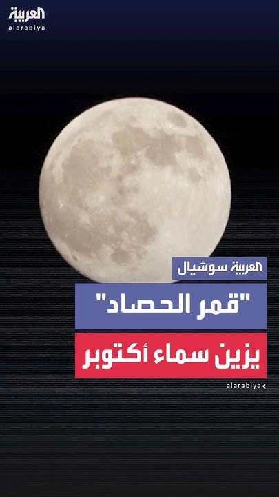 -  -      
 - نشر قبل 17 دقيقة