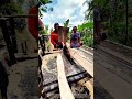 Cutting Through Centuries: How Traditional Sawmills Shape Modern Woodwork