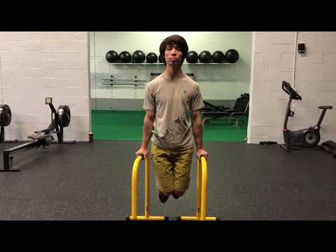 Dip Bars Reverse Shoulder Shrug