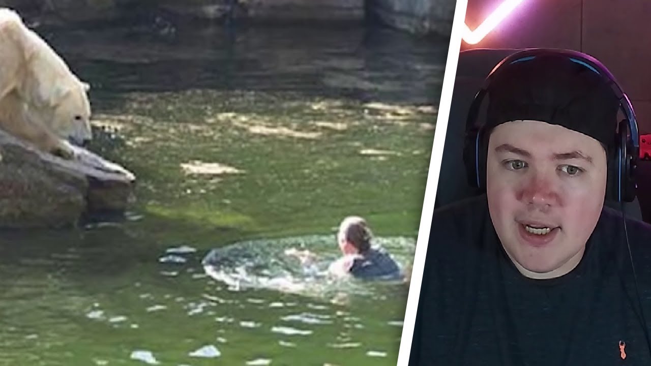 Die 10 dümmsten Menschen im Zoo | REAKTION