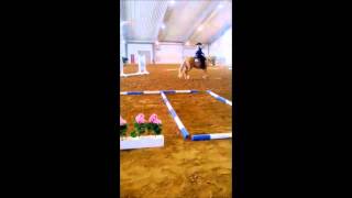 Hayley Davies Trail Aqha Youth World Cup 2014