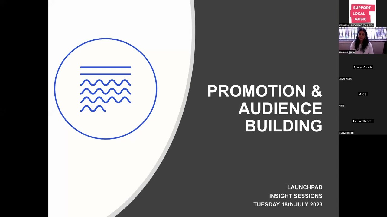 Music Industry Insights - Promotion & Building an Audience (2023)