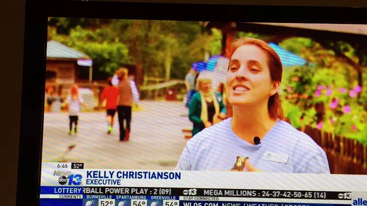 Kelly Christianson on TV