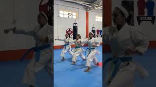 Kata Lovers💕💕💕 #wkf #coach #kata #katalover #bunkai #speed #consistency #timing #focus #flash #smai