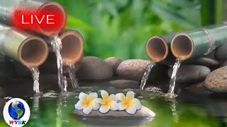15 Minute Relaxing Music, Calm Music, Meditation, Stress Relief, Spa, Study, Sleep,