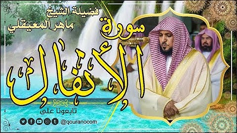 سورة الأنفال لفضيلة الشيخ ماهر المعيقلي 🌹 القرأن الكريم