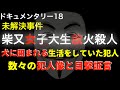 柴又女子大生事件