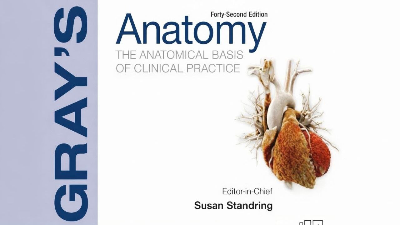 GRAY’S ANATOMY | Chapter-26 |  Vascular Supply & Drainage of Brain