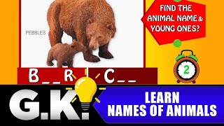 learn names of animals educational videos in english general knowledge gk question answer