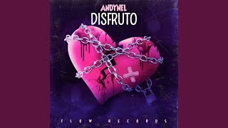 Disfruto - Andynel