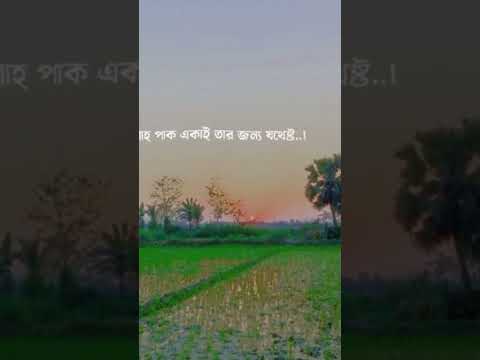 আল্লাহর ওপর তাওয়াক্কুল করুন, বেহিসাব রিজিক পাবেন 🤲 | ইসলামিক রিমাইন্ডার