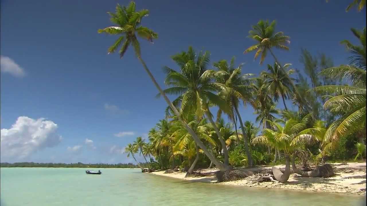 癒しの海 沖縄 タヒチなどの動画 画像 海の魅力 癒しツアー