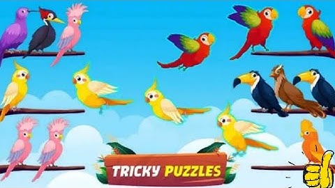 Bird Sort Puzzle All Levels Gameplay Walkthrough Android iOS Games Level AQAQZ2