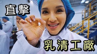 直擊Myprotein乳清工廠｜英國#2